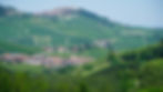 View over the villages of Barolo & La Morra
