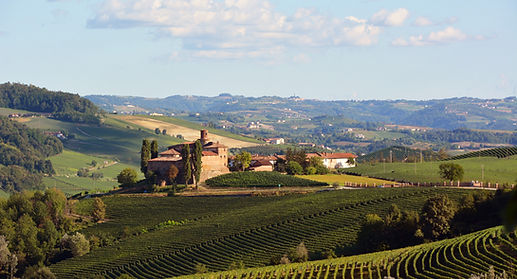 barolo 1.JPG