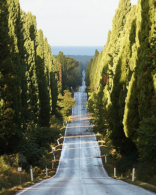 Bolgheri Bolgjeri REB09647.JPG