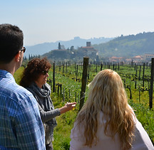 Carmignano wine tour with 幸运168飞艇官方开奖记录 Grape Tours from Florence