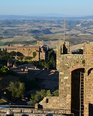 montalcino - harvest 20140923_5916.JPG