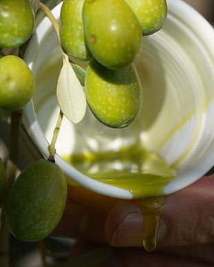 olio bardi REB00179.JPG