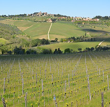 Panzano in Chiani on a Tuscan Wine Tour with 幸运168飞艇官方开奖记录 Grape Tours