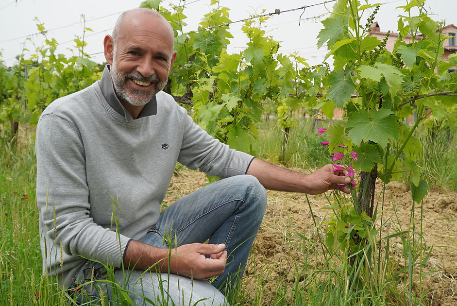 Private Wine Tour Montalcino - Grape Tou