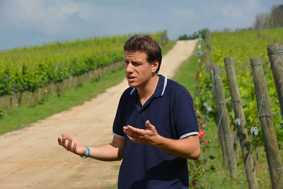 Private Wine Tour Montalcino - Grape Tou