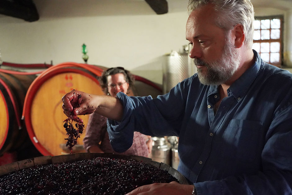 Private Wine Tour Montalcino - Grape Tou