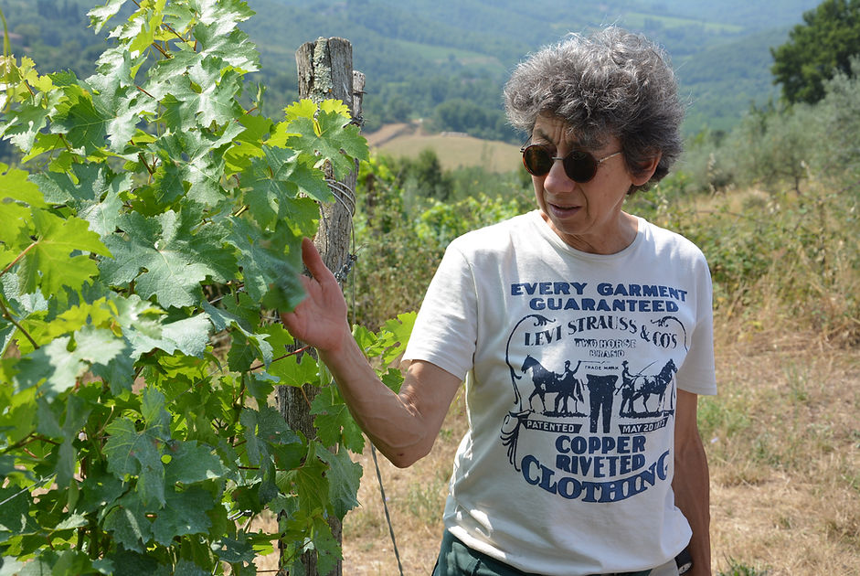 Private Wine Tour Montalcino - Grape Tou