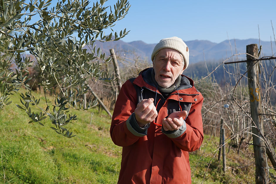 Private Wine Tour Montalcino - Grape Tou