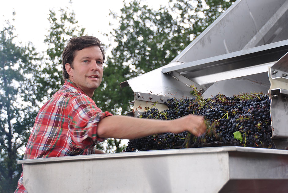 Private Wine Tour Montalcino - Grape Tou