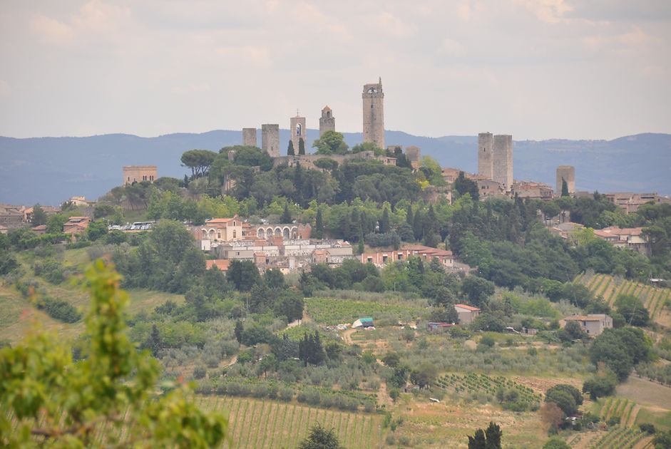 Private Wine Tour Montalcino - Grape Tou