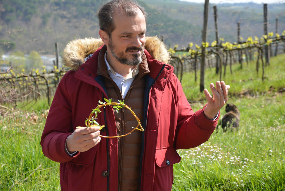 Private Wine Tour Montalcino - Grape Tou