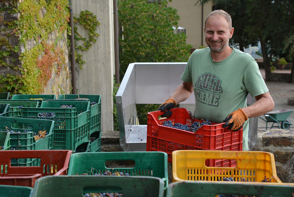 Private Wine Tour Montalcino - Grape Tou