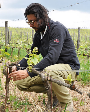 stefano amerighi.JPG